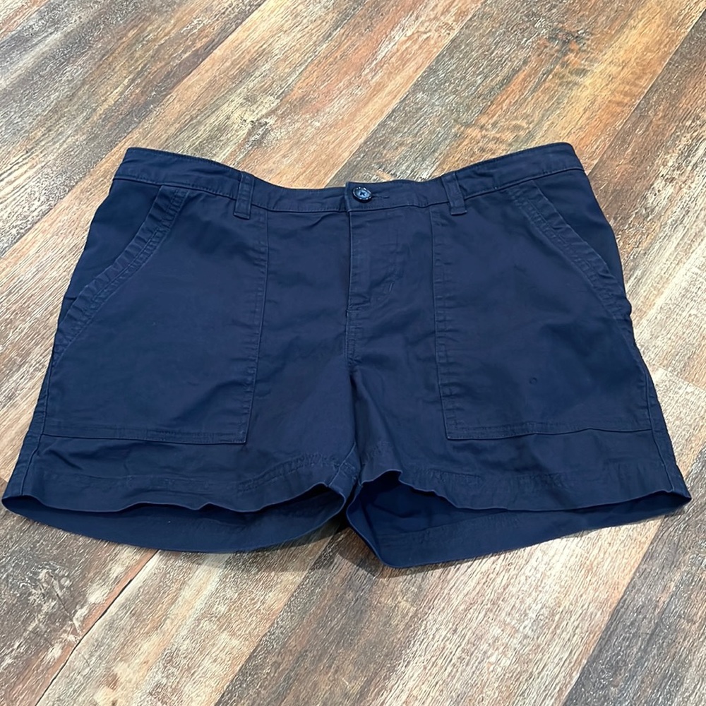 Patagonia navy blue shorts, great used condition.